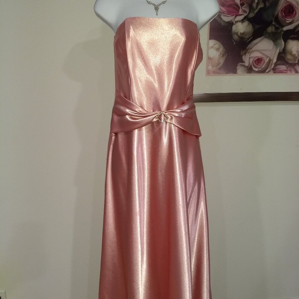 Maxi Gown by Jessica McClintock for Gunne Sax